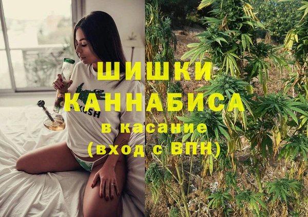 крисы Магадан