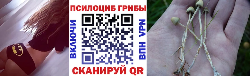 Галлюциногенные грибы Cubensis  Иноземцево 
